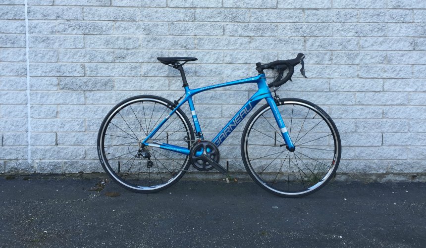 trek road bikes 2019